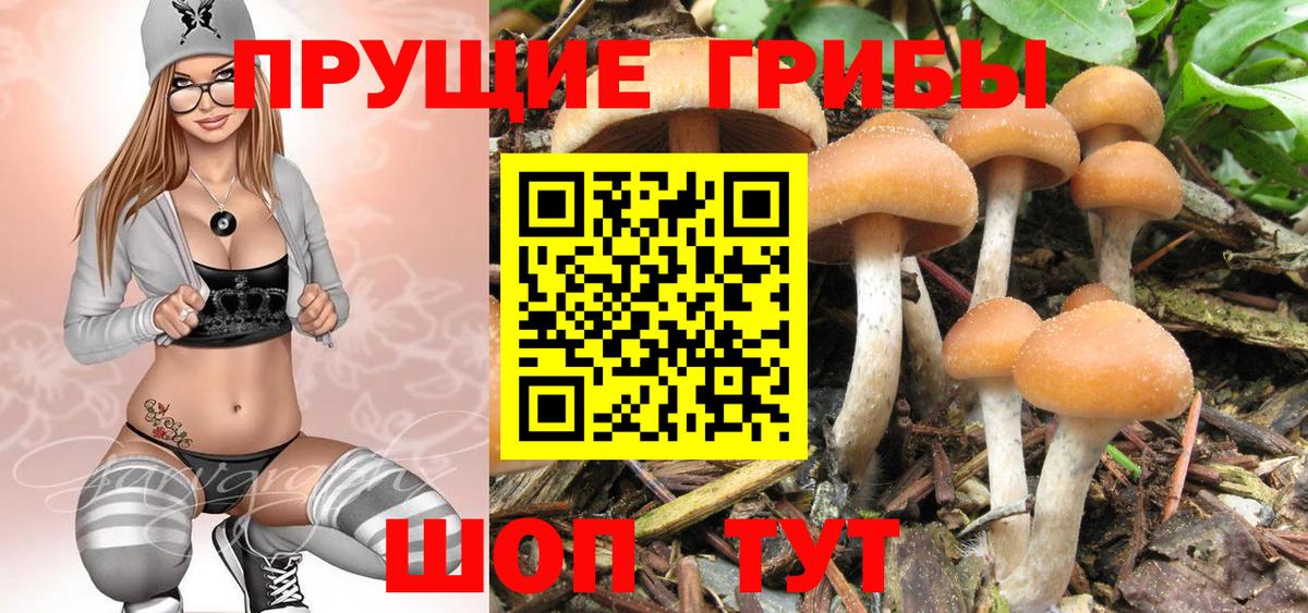 Шарыпово  Галлюциногенные грибы ЛСД  Вход с VPN 